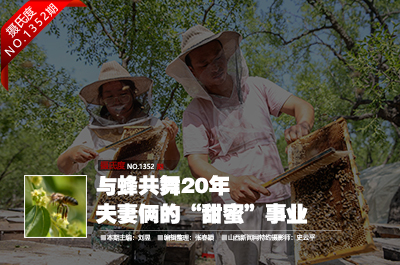 與蜂共舞20年 夫妻倆的“甜蜜”事業